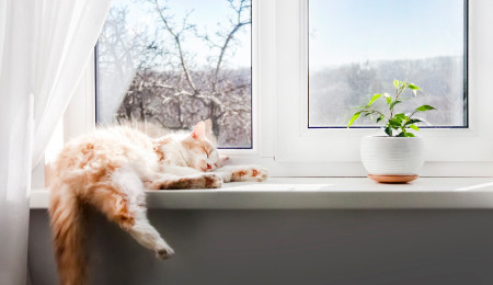 Подоконники - фото - 1